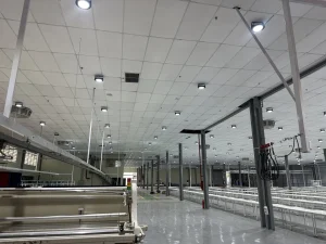 Lắp đặt tủ điện và máng cáp nhà xưởng