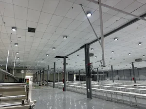 Hệ thống điện công nghiệp nhà máy Đại Phú Thịnh